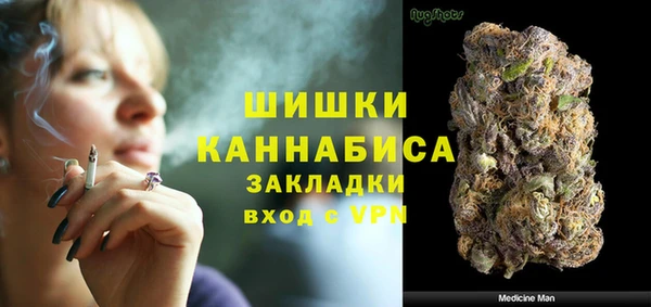 винт Пересвет