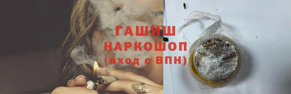 сатива Армянск