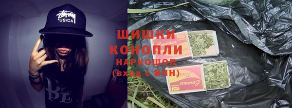 сатива Армянск