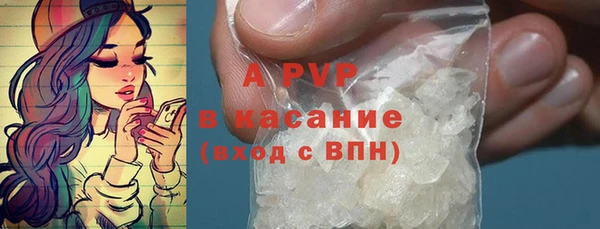 сатива Армянск